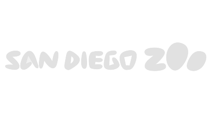 san-diego-zoo-white