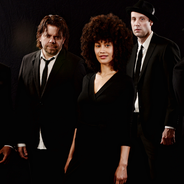 Pop Vinyl - Group Shot